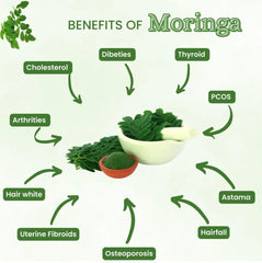 Moringa Gummies | Dietary Supplement for Digestion, Bone & Joint, Sleep, Immunity, Energy, Skin, and Cognition