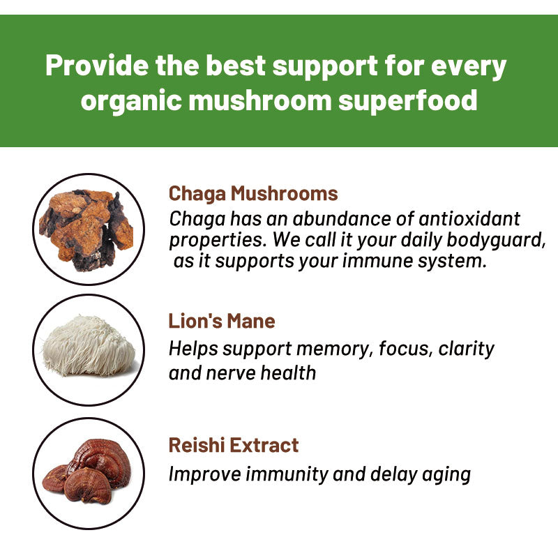 Mushroom Coffee with Chaga and Lion's Mane | Instant Coffee for Energy, Focus, Memory, Gut Health and Immunity