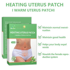 Heating Uterus Patch (5 patches) | Medicated Patch for Menstrual Pain, Back Pain, Uterine Cold, Dysmenorrhea, and Joint Pains