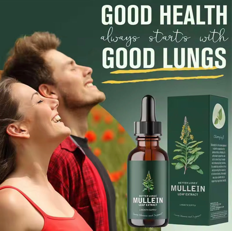 GINAX Mullein Leaf Liquid Drops with Chlorophyll (60ml, 2800mg Mullein, 100mg Chlorophyll)