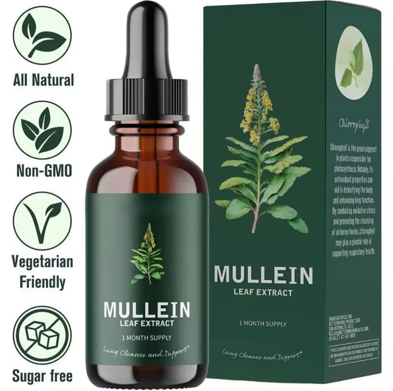 GINAX Mullein Leaf Liquid Drops with Chlorophyll (60ml, 2800mg Mullein, 100mg Chlorophyll)