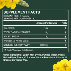 Mullein Gummies (2000mg) | Dietary Supplement for Sinus, Bronchitis, Cough, Lungs and Respiratory Health