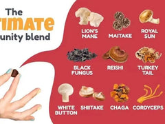 Mushroom Gummies with 10 Powerful Mushrooms (2500mg) | Nootropic Supplement for Brain, Immunity, and Energy