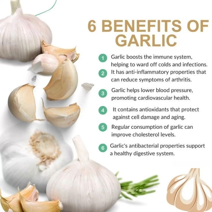 Garlic Oil Soft Capsules | Dietary Supplement for Blood Pressure, Cholesterol, Heart Health, Detox, and Immunity