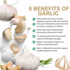 Garlic Oil Soft Capsules | Dietary Supplement for Blood Pressure, Cholesterol, Heart Health, Detox, and Immunity