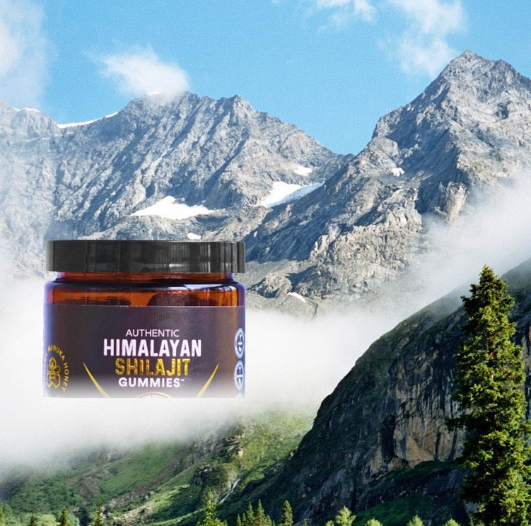 Authentic Himalayan Shilajit Gummies with Manuka Honey (Zero Sugar, 30 gummies) | Dietary Supplement for Energy, Stamina, Cognitive Function, Skin, and Bone Health