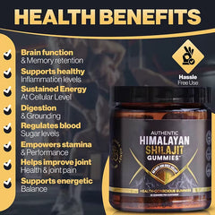 Authentic Himalayan Shilajit Gummies with Manuka Honey (Zero Sugar, 30 gummies) | Dietary Supplement for Energy, Stamina, Cognitive Function, Skin, and Bone Health