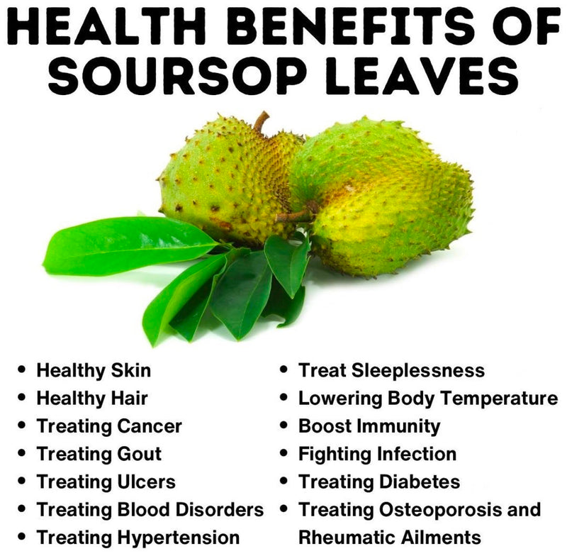 GINAX Soursop Drops with Vitamin C (60ml, 1800mg Graviola, 80mg Vitamin C)