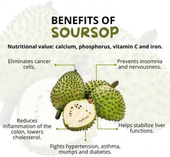 GINAX Soursop Drops with Vitamin C (60ml, 1800mg Graviola, 80mg Vitamin C)