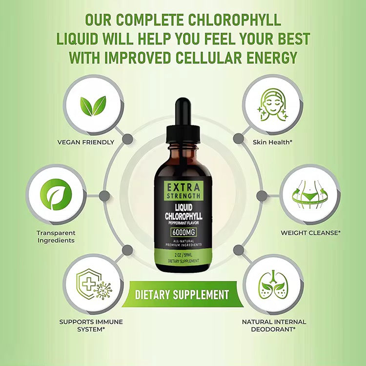 GINAX Liquid Chlorophyll Drops (60ml, 6000mg, Peppermint flavour)