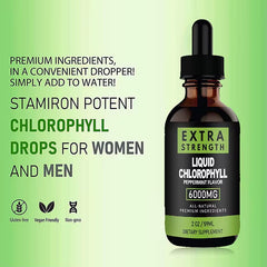 GINAX Liquid Chlorophyll Drops (60ml, 6000mg, Peppermint flavour)