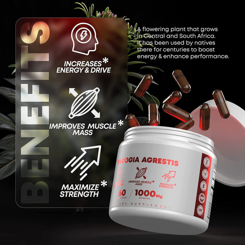 Fadogia Agrestis Capsule (1000mg) | Dietary Supplement for Energy, Muscle Mass, and Strength