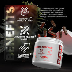 Fadogia Agrestis Capsule (1000mg) | Dietary Supplement for Energy, Muscle Mass, and Strength