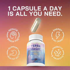 Yerma Magic Capsules with Yerba Mate (375mg) and Caffeine (75mg) | Dietary Supplement for Mental Focus, Fatigue, Digestion, and Mood