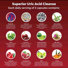 GINAX Uric Acid Support Capsules | Dietary Supplement for Joint, Mobility, Urinary Tract, and Acid Neutralization