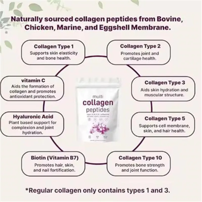 Multi-Collagen Peptides Powder (Type I, II, III, V, X) with Biotin, Vitamin C, and Hyaluronic Acid (454g size, 10880mg Collagen)