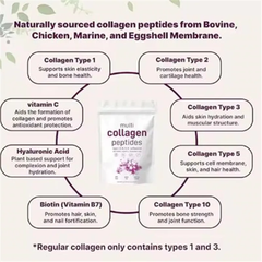 Multi-Collagen Peptides Powder (Type I, II, III, V, X) with Biotin, Vitamin C, and Hyaluronic Acid (454g size, 10880mg Collagen)