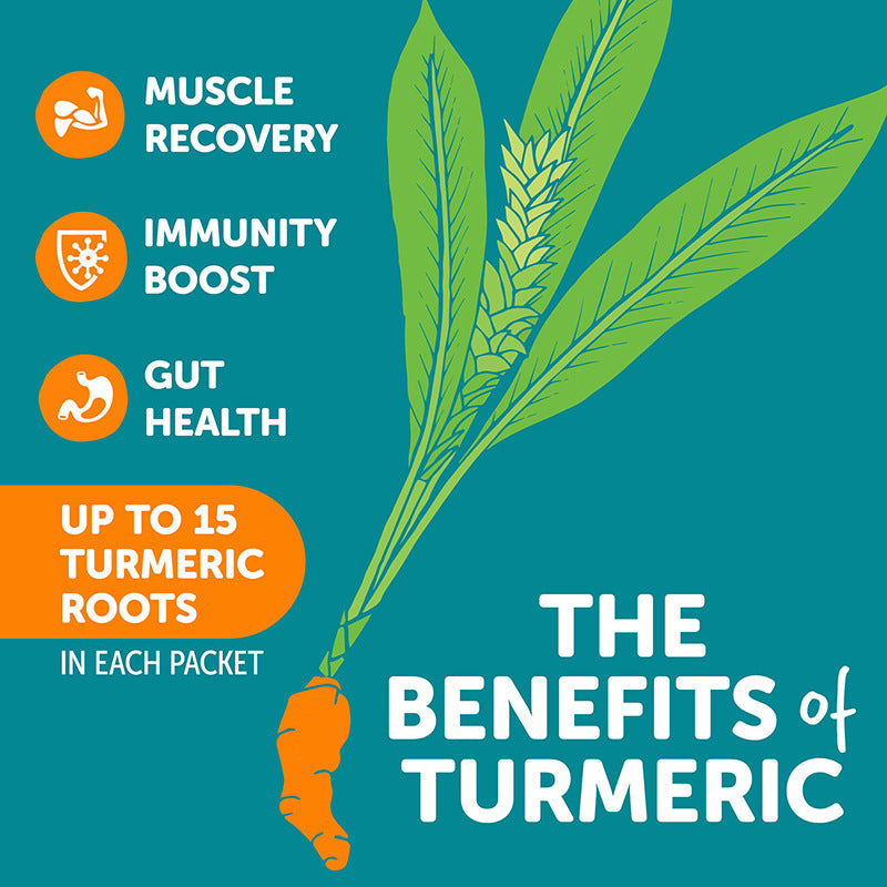 Hydration + Turmeric Electrolyte Drink Mix with Vitamins C & D and Zinc