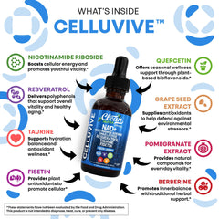 CELLUVIVE NAD+ Liquid Drops with Resveratrol, Taurine, Fisetin and Grape Seed (120ml, 30 servings) | Dietary Supplement for Healthy Aging, Cellular Energy, and Hydration Balance