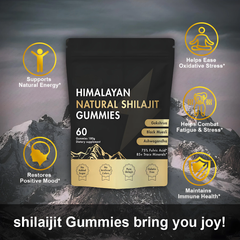 Himalayan Natural Shilajit Gummies with Gokshrua, Black Muesli, and Ashwagandha (3000mg shilajit) | Dietary Supplement for Energy, Stamina, Endurance, Cognitive Function, Skin, and Bone Health