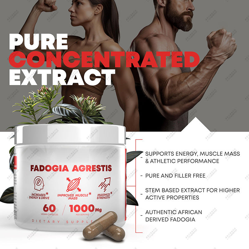 Fadogia Agrestis Capsule (1000mg) | Dietary Supplement for Energy, Muscle Mass, and Strength