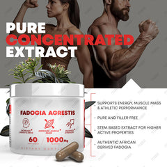 Fadogia Agrestis Capsule (1000mg) | Dietary Supplement for Energy, Muscle Mass, and Strength