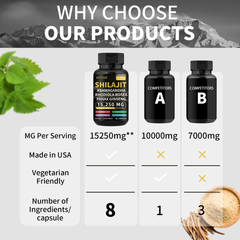 BIYODE 8-in-1 Shilajit Blend Capsules — Shilajit, Panax Ginseng, Ashwagandha, Rhodiola Rosea, Turmeric, Gingko Biloba, Stinging Nettle, and Cordyceps Mushroom (15250mg)