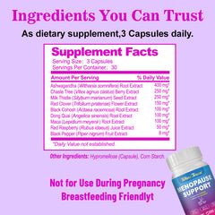 Menopause Support Capsules (90 capsules) with Ashwagandha and Chaste Tree | Dietary Supplement for Mood Swings, Night Sweats, Hot Flashes, Low Sex Drive, and Menopause