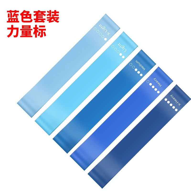 5-in-1 Resistance Loop Bands with Free Pouch (5 pieces: X-Light, Light, Medium, Heavy, and X-Heavy)