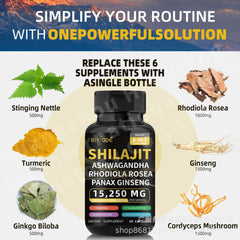 BIYODE 8-in-1 Shilajit Blend Capsules — Shilajit, Panax Ginseng, Ashwagandha, Rhodiola Rosea, Turmeric, Gingko Biloba, Stinging Nettle, and Cordyceps Mushroom (15250mg)