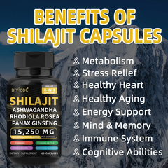 BIYODE 8-in-1 Shilajit Blend Capsules — Shilajit, Panax Ginseng, Ashwagandha, Rhodiola Rosea, Turmeric, Gingko Biloba, Stinging Nettle, and Cordyceps Mushroom (15250mg)