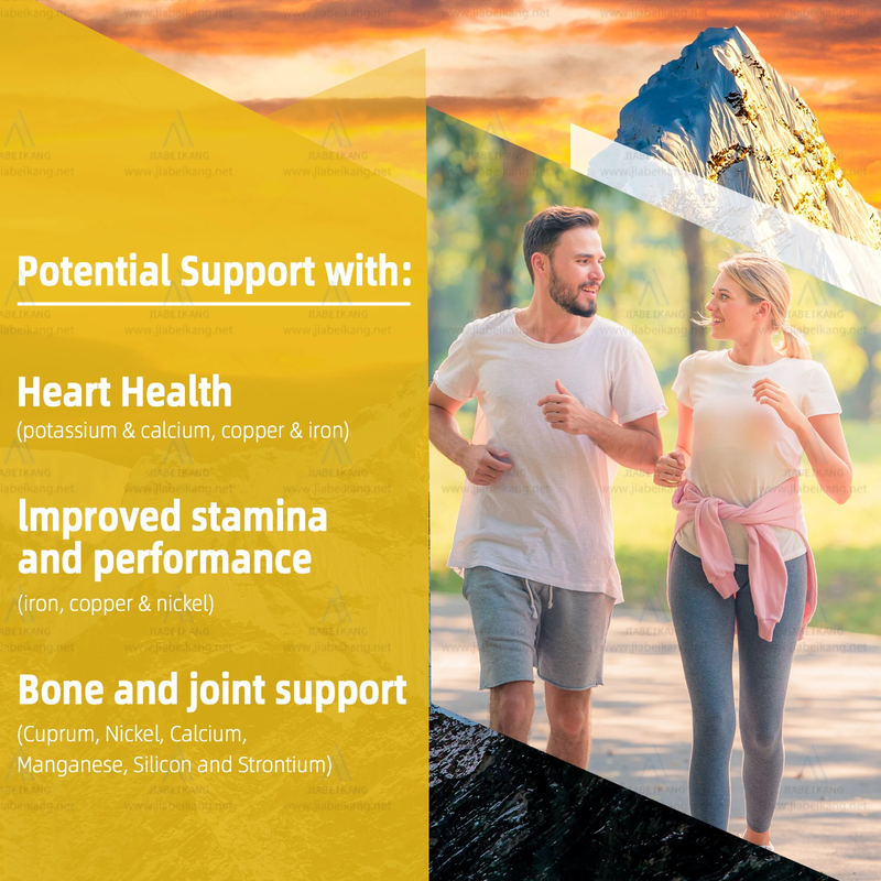 BIYODE 8-in-1 Shilajit Blend Capsules — Shilajit, Panax Ginseng, Ashwagandha, Rhodiola Rosea, Turmeric, Gingko Biloba, Stinging Nettle, and Cordyceps Mushroom (15250mg)