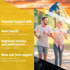 BIYODE 8-in-1 Shilajit Blend Capsules — Shilajit, Panax Ginseng, Ashwagandha, Rhodiola Rosea, Turmeric, Gingko Biloba, Stinging Nettle, and Cordyceps Mushroom (15250mg)
