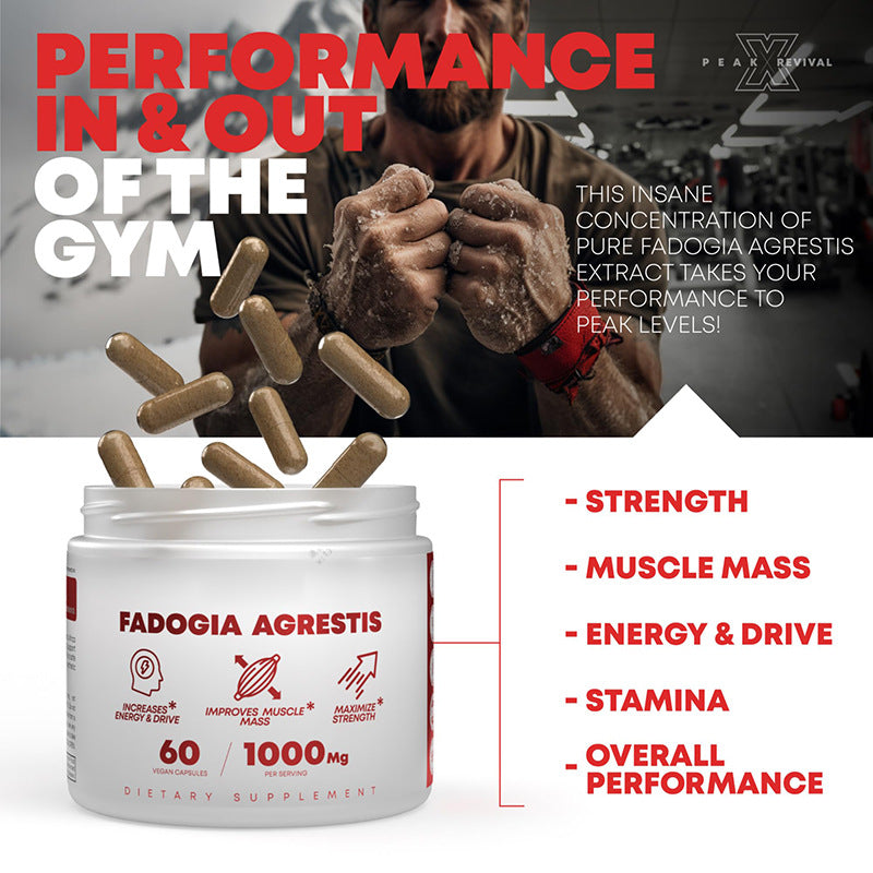 Fadogia Agrestis Capsule (1000mg) | Dietary Supplement for Energy, Muscle Mass, and Strength