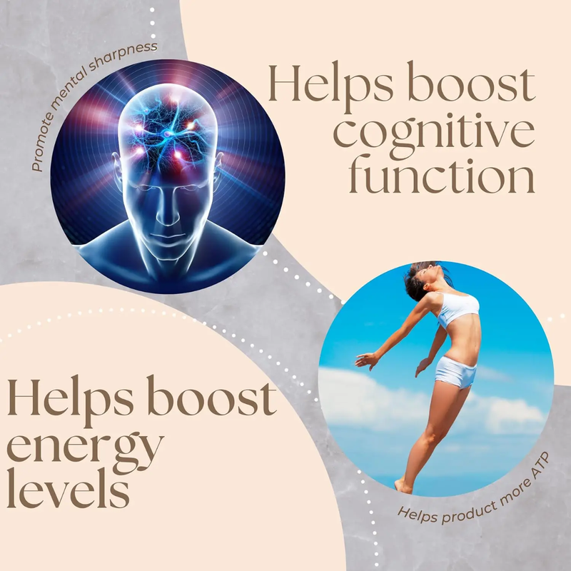 GINAX NMN (Nicotinamide Mononucleotide) Capsules with Quercetin and Trans-Resveratrol