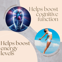 GINAX NMN (Nicotinamide Mononucleotide) Capsules with Quercetin and Trans-Resveratrol