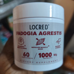 Fadogia Agrestis Capsule (1000mg) | Dietary Supplement for Energy, Muscle Mass, and Strength