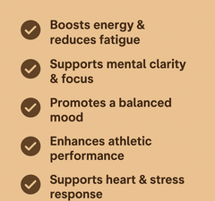 Rhodiola Rosea Extract Capsule | Dietary Supplement for Energy, Performance, Focus, Mood, and Endurance