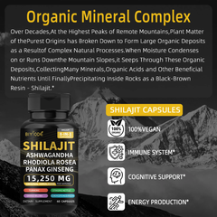 BIYODE 8-in-1 Shilajit Blend Capsules — Shilajit, Panax Ginseng, Ashwagandha, Rhodiola Rosea, Turmeric, Gingko Biloba, Stinging Nettle, and Cordyceps Mushroom (15250mg)