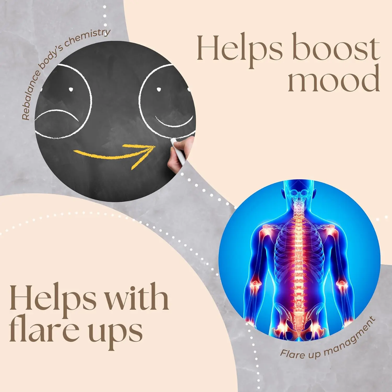 GINAX NMN (Nicotinamide Mononucleotide) Capsules with Quercetin and Trans-Resveratrol