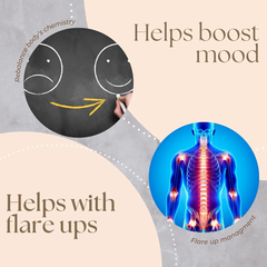 GINAX NMN (Nicotinamide Mononucleotide) Capsules with Quercetin and Trans-Resveratrol