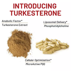 Turkesterone Extract Capsule | Dietary Supplement for Muscle Build, Fat Burn, Energy Boost, and Muscle Recovery