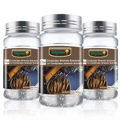 Cordyceps Sinensis Extract Capsules | Dietary Supplement for Kidney Care, Lungs Care, Chronic Cough, Asthma and Prostate Health