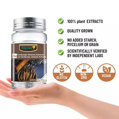 Cordyceps Sinensis Extract Capsules | Dietary Supplement for Kidney Care, Lungs Care, Chronic Cough, Asthma and Prostate Health