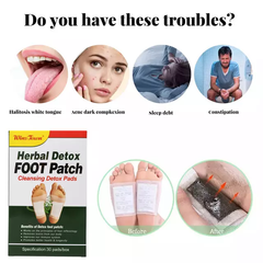 EntreFeet Detox Foot Pads, Cleansing With Ginger And Bamboo Vinegar, 20