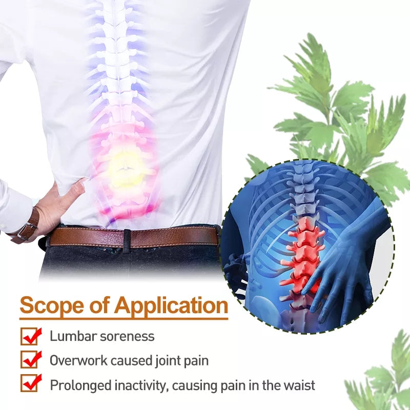 Lumbar Vertebra Plaster | Medicated Patch for Back Pain and Lumbar Soreness