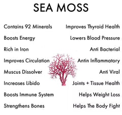 Sea Moss Gummies (1750mg) with Bladderwrack and Burdock Root | Dietary Supplement for Immune, Skin, Hair, Thyroid, and Weight Loss